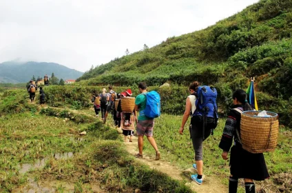 From Sapa Rice Terraces, Trekking and Tribal Villages Day Tour-bookicharter.com