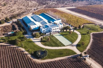 Full day private wine tour Casablanca valley-bookicharter.com